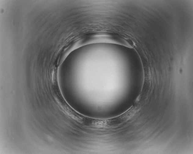 X0000054470084200507291358