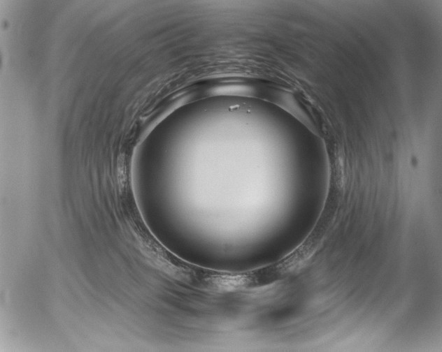 X0000054470085200507291358