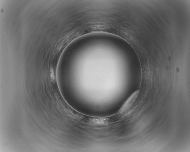 X0000054470089200507291358