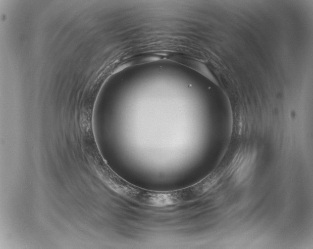 X0000054470091200507291358