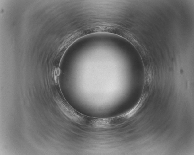 X0000054470094200507291358