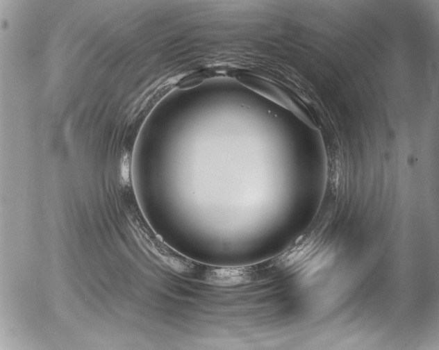 X0000054470095200507291358