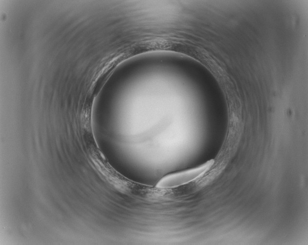 X0000054470096200507291358