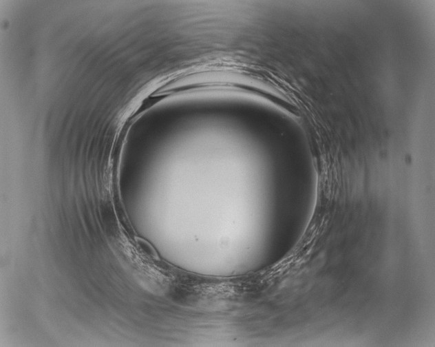 X0000054470100200507291357