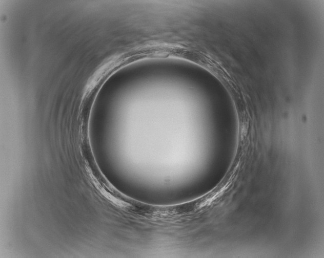 X0000054470101200507291357