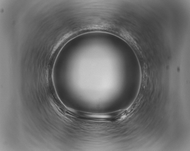 X0000054470108200507291357