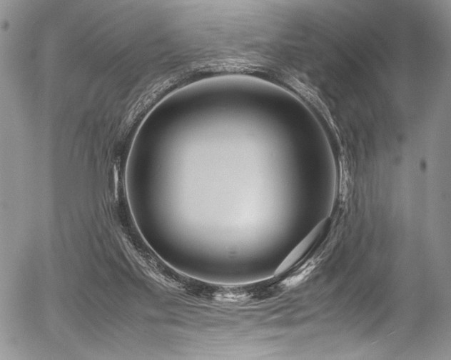 X0000054470109200507291357