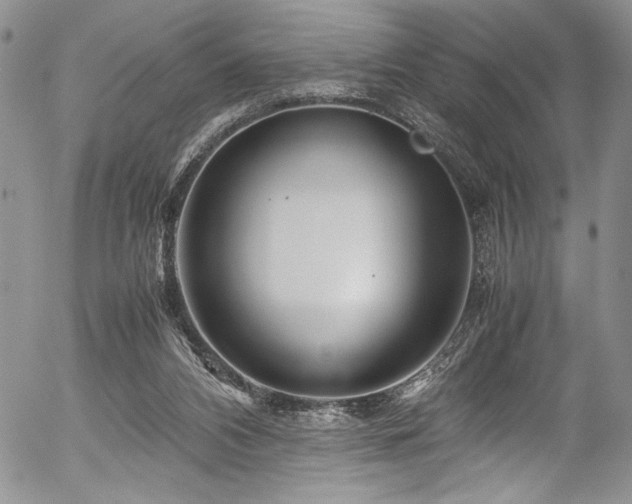 X0000054470112200507291357