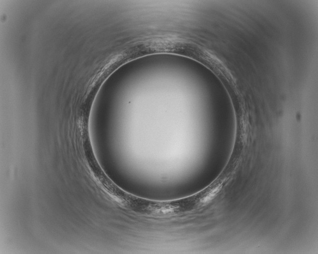 X0000054470113200507291357