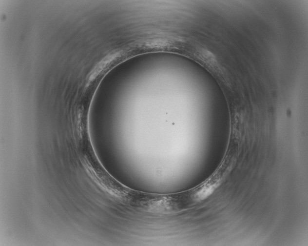 X0000054470116200507291357