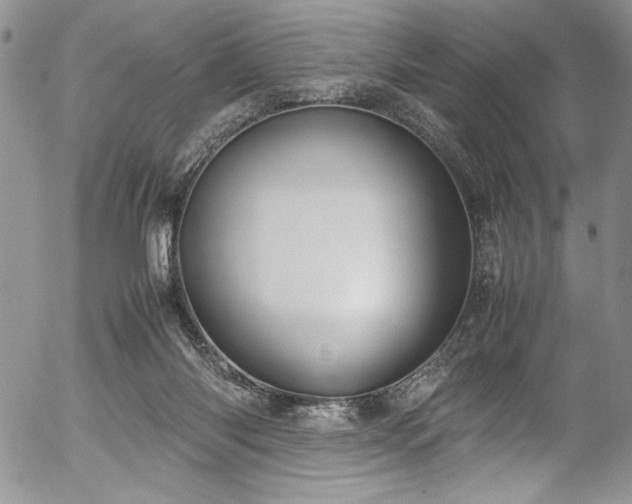 X0000054470118200507291357