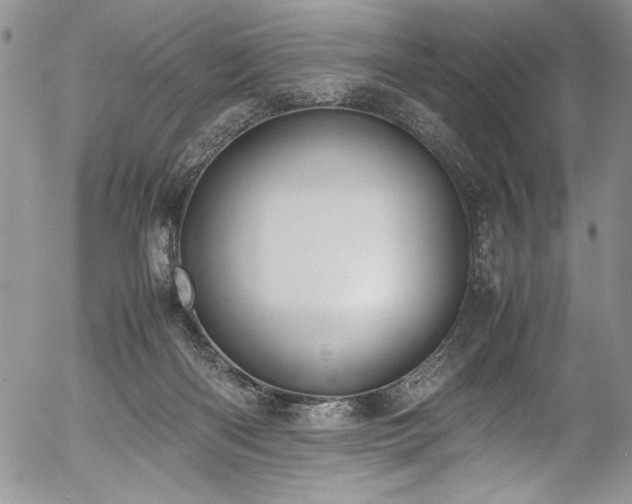 X0000054470122200507291357