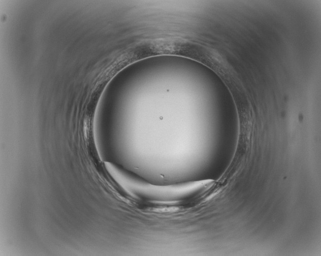 X0000054470125200507291357