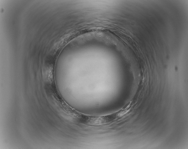 X0000054470127200507291357