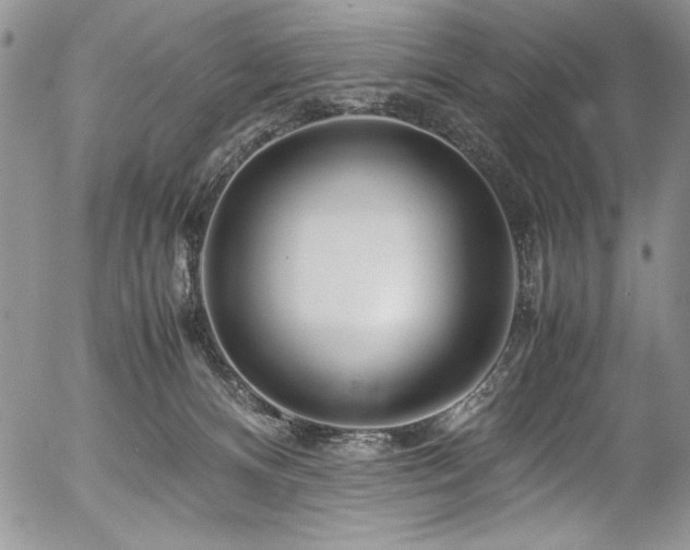 X0000054470128200507291357