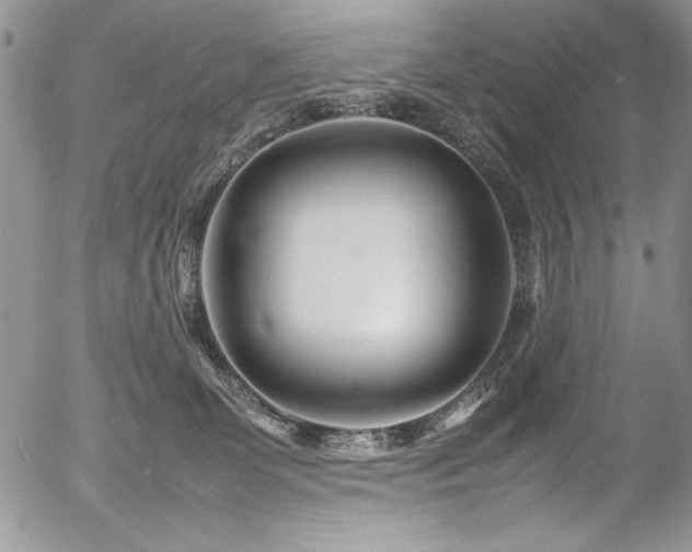 X0000054470131200507291357