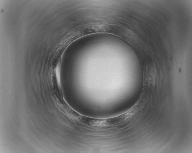 X0000054470132200507291357