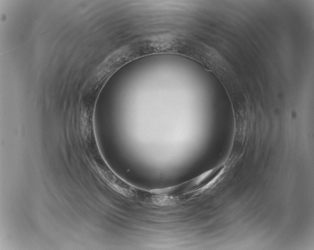 X0000054470136200507291357
