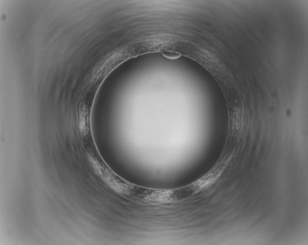 X0000054470138200507291357