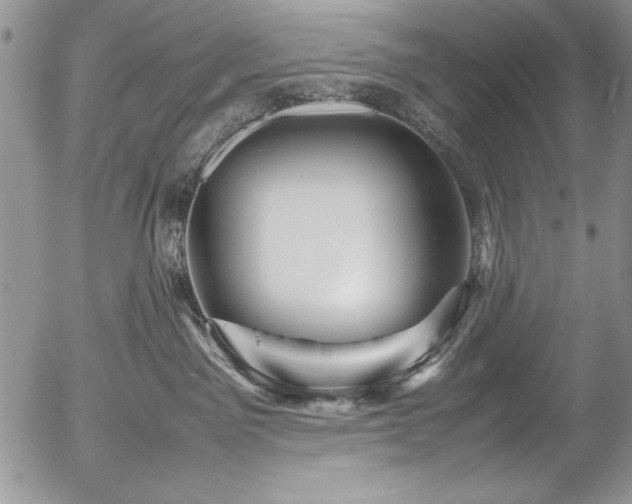 X0000054470141200507291357