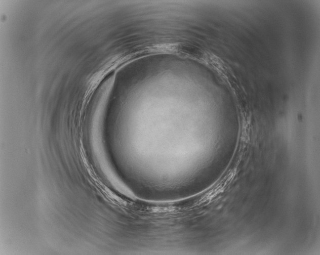 X0000054470145200507291356