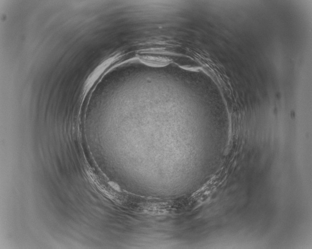 X0000054470147200507291356