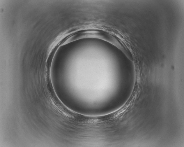 X0000054470152200507291356