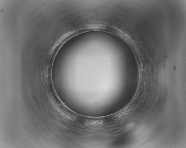 X0000054470155200507291356