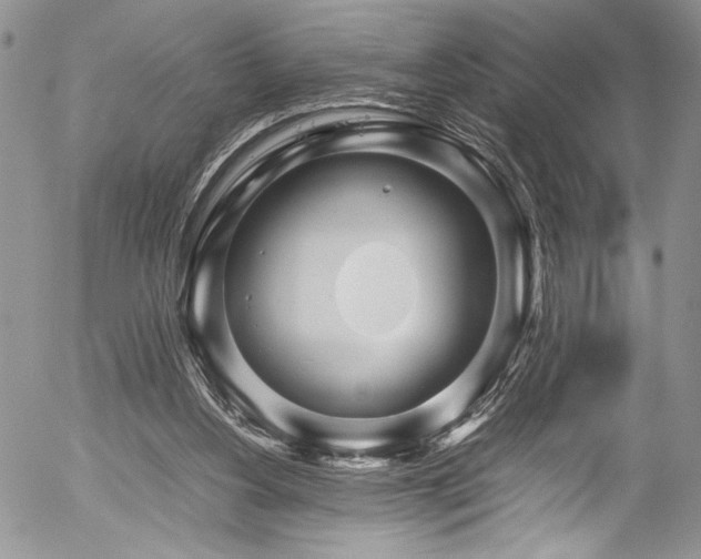 X0000054470156200507291356
