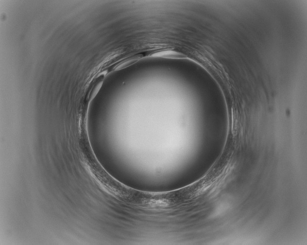 X0000054470157200507291356