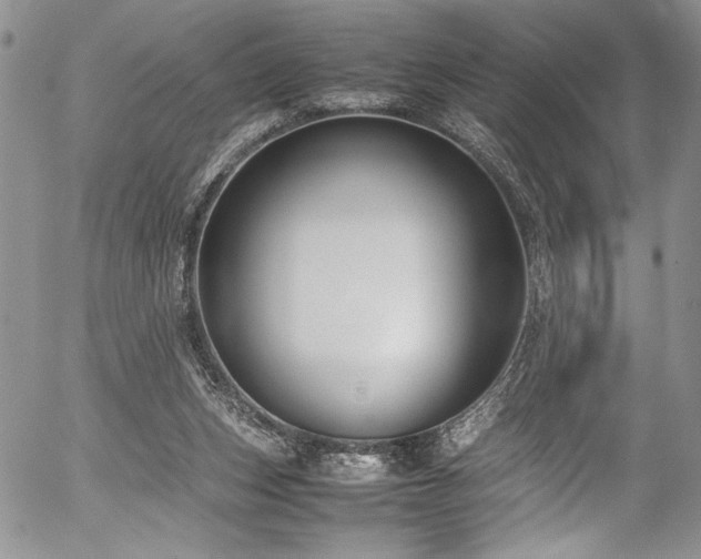 X0000054470159200507291356