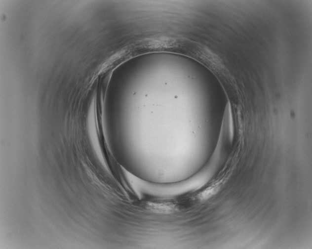 X0000054470164200507291356