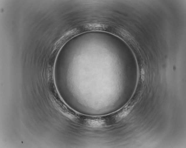 X0000054470165200507291356
