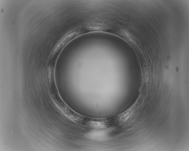 X0000054470167200507291356