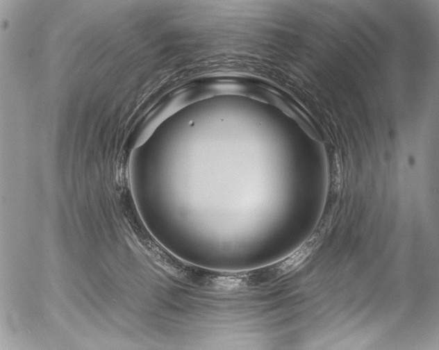 X0000054470176200507291356