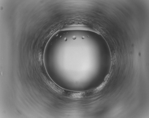 X0000054470178200507291356