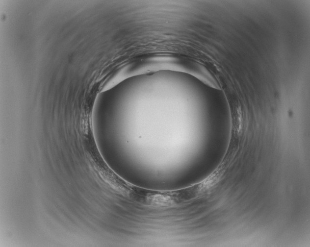 X0000054470180200507291356