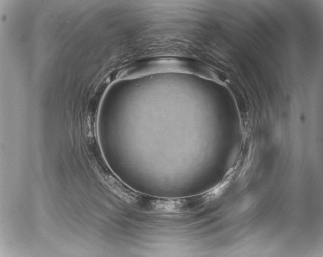 X0000054470182200507291356