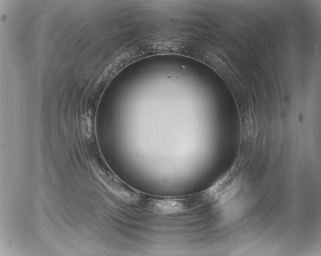 X0000054470183200507291356