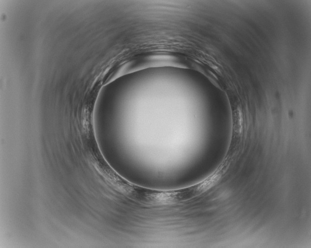 X0000054470184200507291356