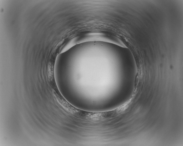 X0000054470186200507291356