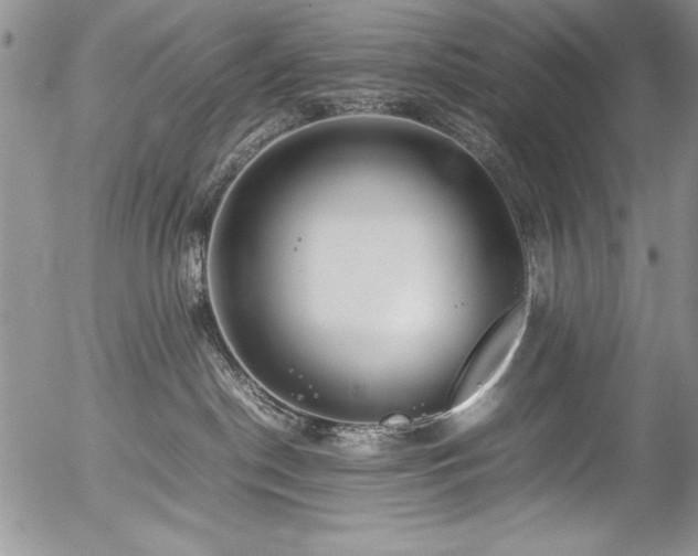 X0000054470190200507291356
