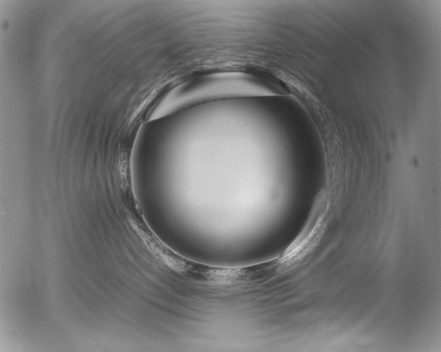 X0000054470192200507291356