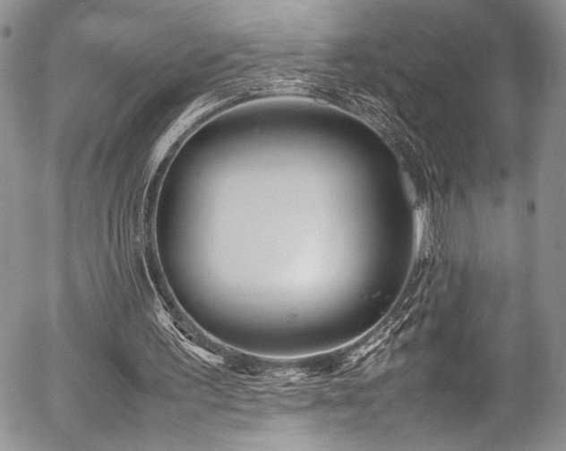 X0000054470195200507291356