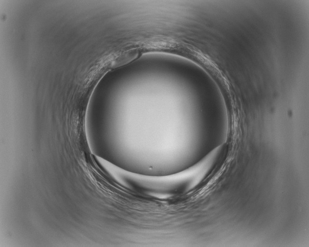 X0000054470201200507291356