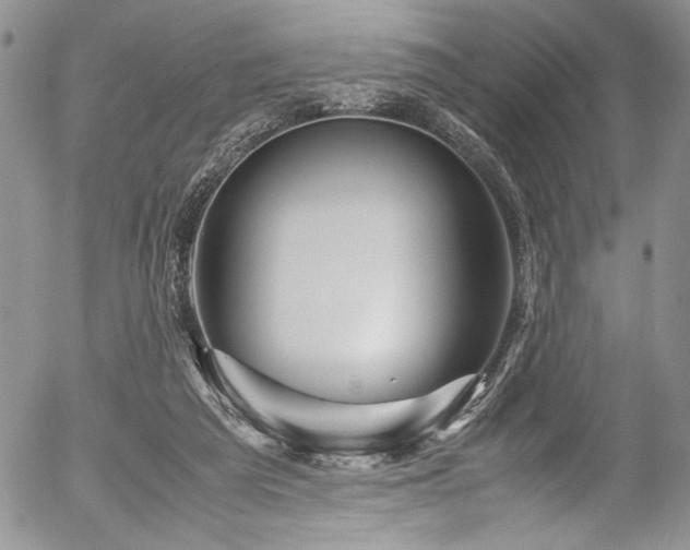 X0000054470209200507291355