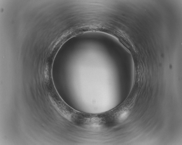 X0000054470212200507291355