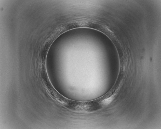 X0000054470213200507291355