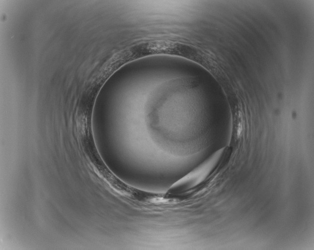 X0000054470227200507291355