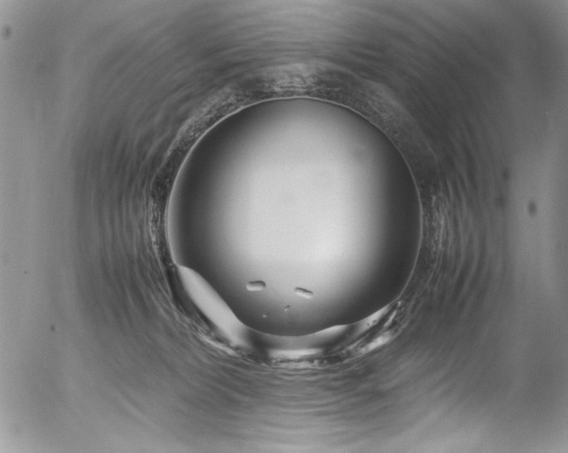 X0000054470228200507291355
